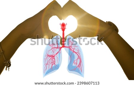Bronchiectasis. lung disease. Normal bronchus and bronchiectasis.Vector medical illustration.doctor holding virtual Lungs in hand. Handrawn human organ, copy space on right side, raw photo colors. 