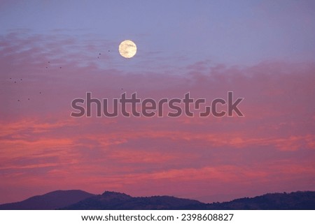 orange moon in the evening sky. full moon during sunset in evening sky. evening dusk orange red and yellow moon.