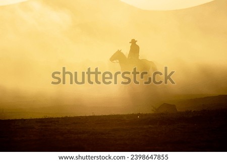 Travels of cowboys and wild horses on dusty roads