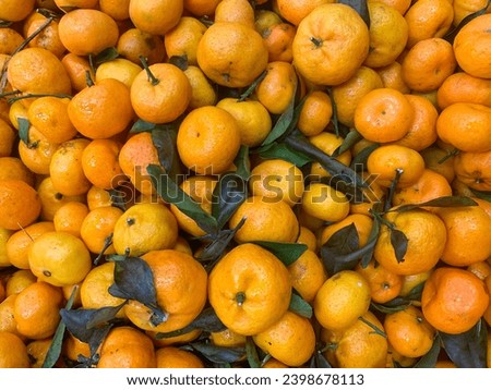 A bunch of mandarin orange fruits for sale at the market. Fresh and ripe orange fruit full of vitamin c. Close up view, selective focus.