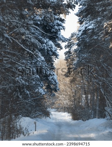 Winter landscape on the screensaver