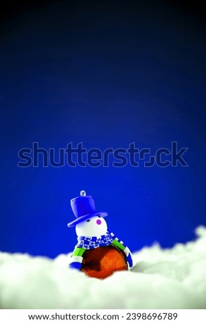 cute mini snowman in snow
