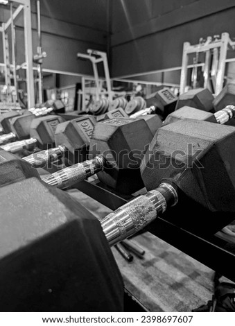 Dumbbells lying on the bench in the Gym