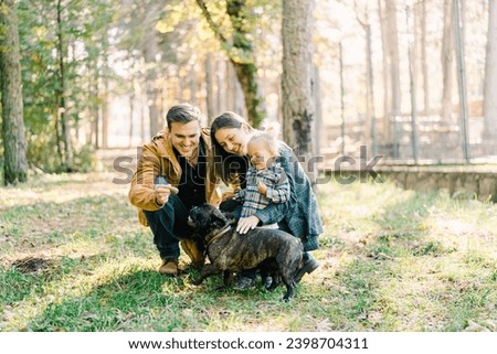 Mom and little girl watch dad hand food to french bulldog while squatting in the park Royalty-Free Stock Photo #2398704311