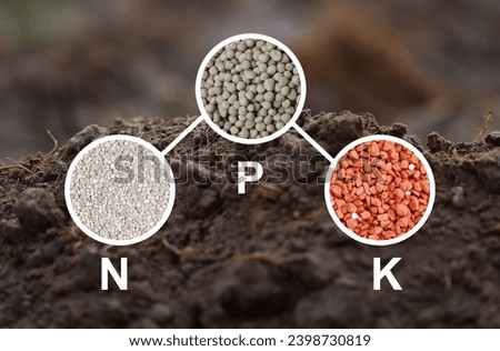 Soil background with NPK Letter and icon digital nutrients icon which necessary in plant life, Agriculture concept, Smart farming Nitrogen, Phosphorus, Potassium Royalty-Free Stock Photo #2398730819