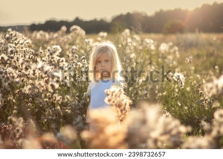 shaggy blonde girl in large grass with fluffy flakes of seeds, girl in thistles
