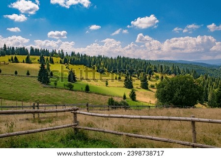 Summer landscape in Apuseni Mountains,Transilvania, Romania Royalty-Free Stock Photo #2398738717