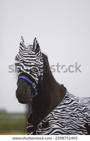 Horse portrait with a fly mask Royalty-Free Stock Photo #2398751443
