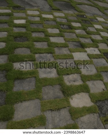 neat floor and grass patterns
