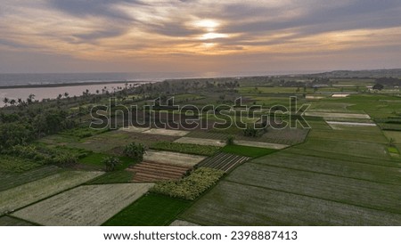 Rice fields in a country in asia