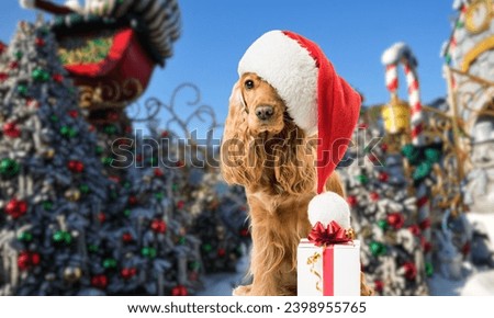 Pets celebrating christmas in holiday