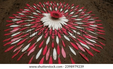 'POKALAM' consist of 'POOV' which means flower and KALAM  means color sketch on the ground    is mainly related with  festival which is the national festival of KERALA in INDIA