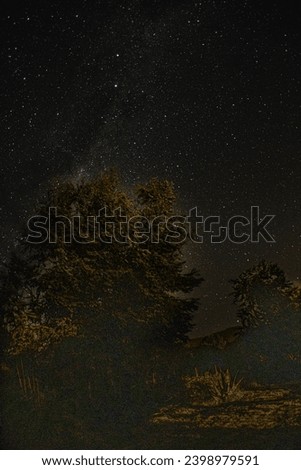 
Illuminated tree on a starry night in San Javier, Cordoba, Argentina