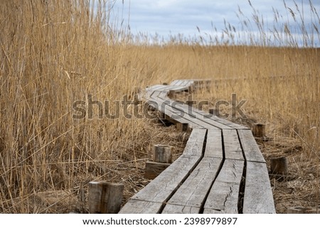 

A boardwalk of wooden planks winds through long yellow sandbars