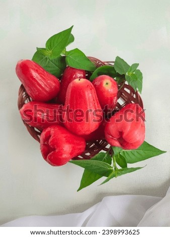 Watery Rose Apple... Syzygium aqueum is a species of brush cherry tree. In Indonesia we called it Jambu Madu. Royalty-Free Stock Photo #2398993625
