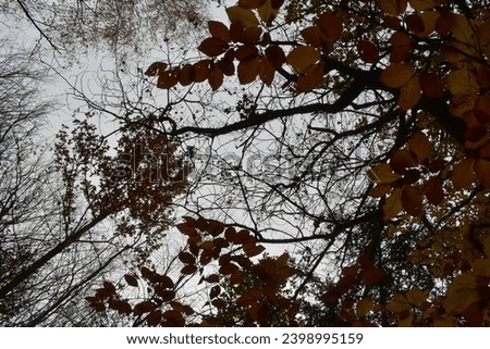 Nature photos in autumn in Hesse Werra Meißner district