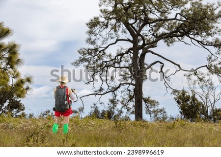 A young female tourist is taking photos of pine trees at Phu Kradueng National Park. Loei Province, Thailand.