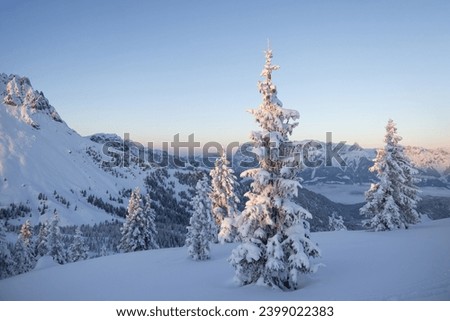 Winter sunset in the mountains. Golden light on the mountain range and a cold wilderness foreground
