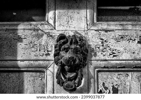 Monochrome view of a wrought iron and very old lion's head door knocker seen on a wooden front door showing heavy weathering and peeling paintwork.