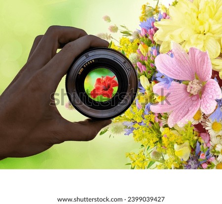 photography view camera photographer lens flowers lense through video photo digital glass hand blurred focus people concept - stock image