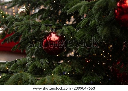 Above view on pine tree branches with Christmas fairy lights and red baubles.