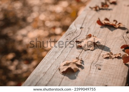 Autumn oak leaves on a wooden background with shadows, top view