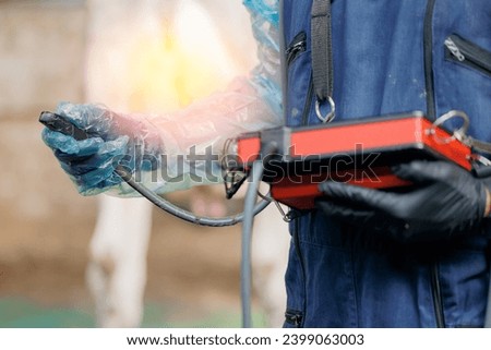 Ultrasound device for rectal checking cow pregnancy. Concept veterinary of industry dairy livestock, artificial insemination of cattle. Royalty-Free Stock Photo #2399063003