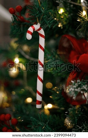 Traditional Christmas candy sticks on Christmas green pine tree with background bokeh light. New Year concept.