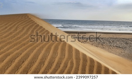 beautiful landscape of sand dunes near sea