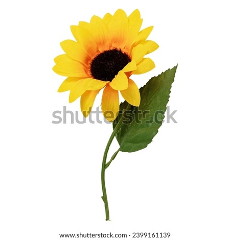 Plastic sunflower flower isolated on white background with clipping path. Artificial flower for decoration. Plastic sunflowers that decorate the home area.