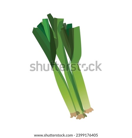 Vector spring onion in different forms.