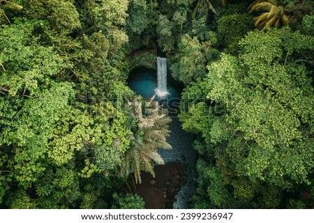 Tibumana Waterfall Bali in tropical rainforest jungle Ubud, Bali, Indonesia Aerial view