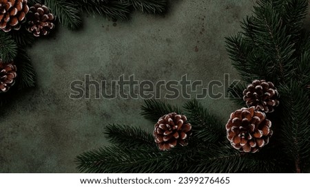 Festive winter background. Branch of Christmas tree with pine cones. Top view, frame with copy space.