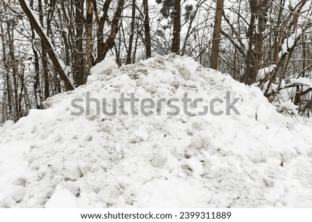 A pile of snow at the forest, in the background of the tree and shrub trunk, cold weather, winter time, natural background for text
