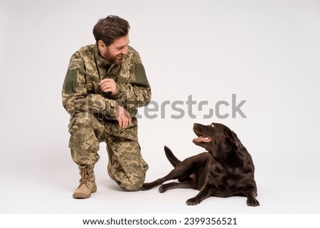 Attractive bearded smiling man wearing military camouflage uniform training and Labrador dog isolated on white background. Love, friendship, dog training concept