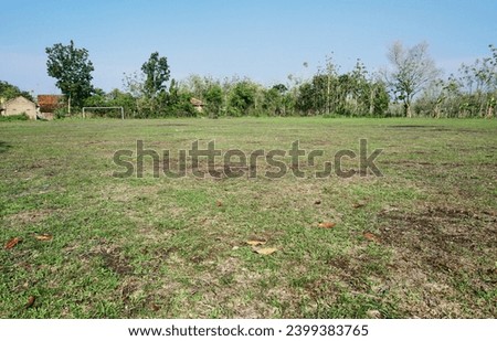 Natural views of rice fields and fields                            