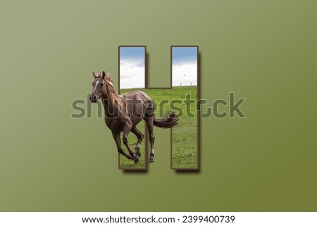The letter H is embedded with a picture of the animal Horse. Great animal background.