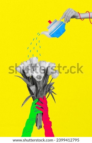 Picture collage image of arm watering fresh spring tulips isolated on drawing colorful background