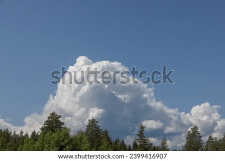 A lush coniferous forest at the forefront, with a majestic, mountain-like cumulus cloud towering against a vibrant blue sky Royalty-Free Stock Photo #2399416907