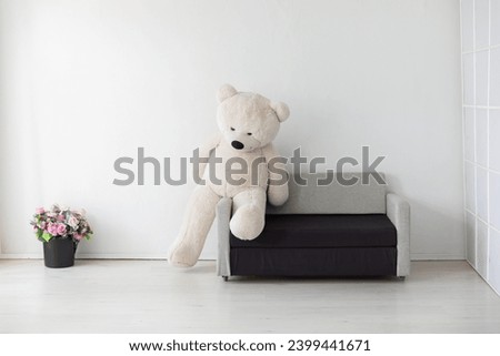 sofa with bear toy in white room interior