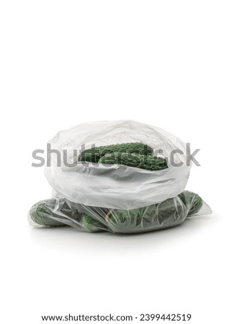Green pimpled cucumbers lie in an open transparent cellophane bag isolated on a white background