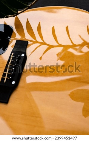 Musical instrument. Sharp shadows on the body of the guitar