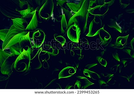 Green tropical leaves, abstract nature background, dark blue toned
