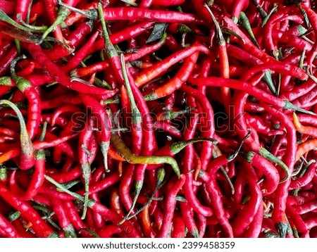 Red chili is very spicy, delicious to make chili sauce