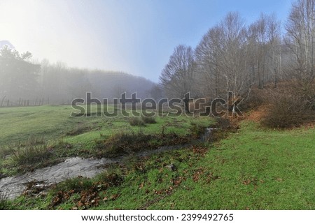 Autumn forest landscape and early morning fog.