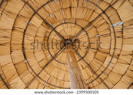 Looking up at the spiral pattern of a wooden canopy, showcasing natural materials and symmetrical design