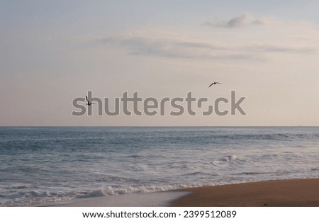 Wide shot of the seashore with calm waves and some seagulls flying in the middle of the sunset.