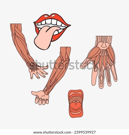 Sketch of the human Body part in vector design. Line drawing of the body part illustration. clip art of medical field icon. Health symbol