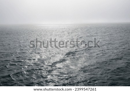 Peaceful early morning fog over the arctic ocean, water to the foggy horizon, as a nature background
 Royalty-Free Stock Photo #2399547261