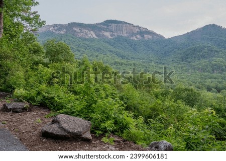 A captivating image showcases the natural beauty of Table Rock in South Carolina. In the foreground, a silhouette of trees frames the scene, creating a harmonious balance between the lush foliage.